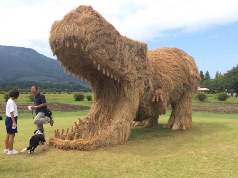 t-rex-made-from-straw