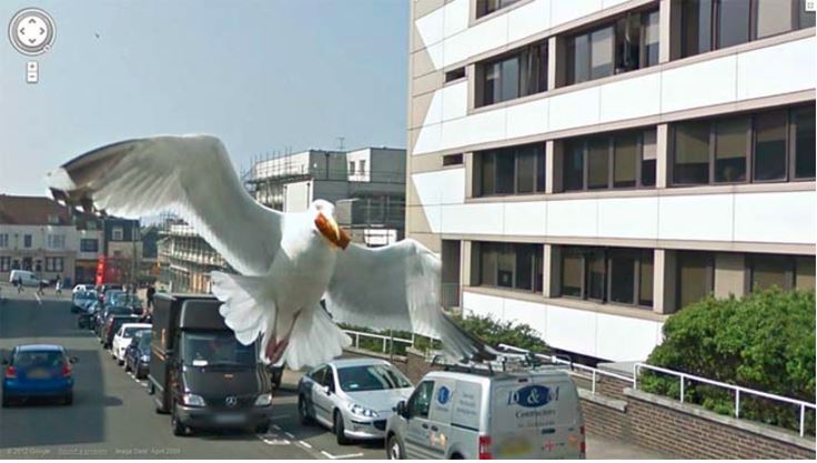google-street-view-crazy-thing-17