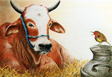 cow-and-bird