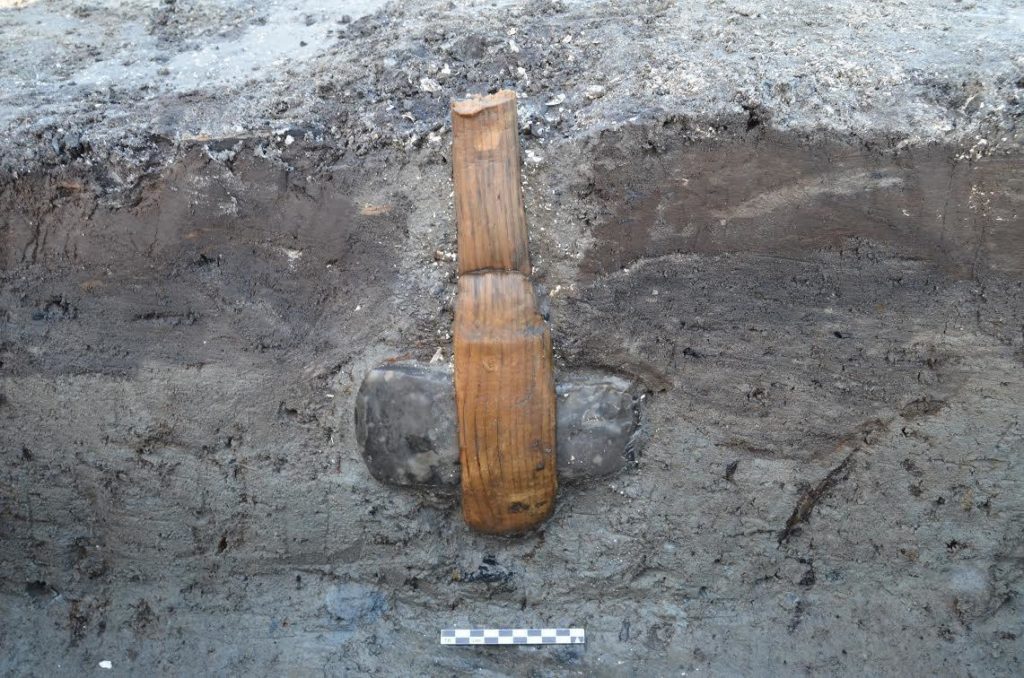 Axe with intact wooden shaft uncovered that dates to the Stone Age - Rødbyhavn, Denmark 