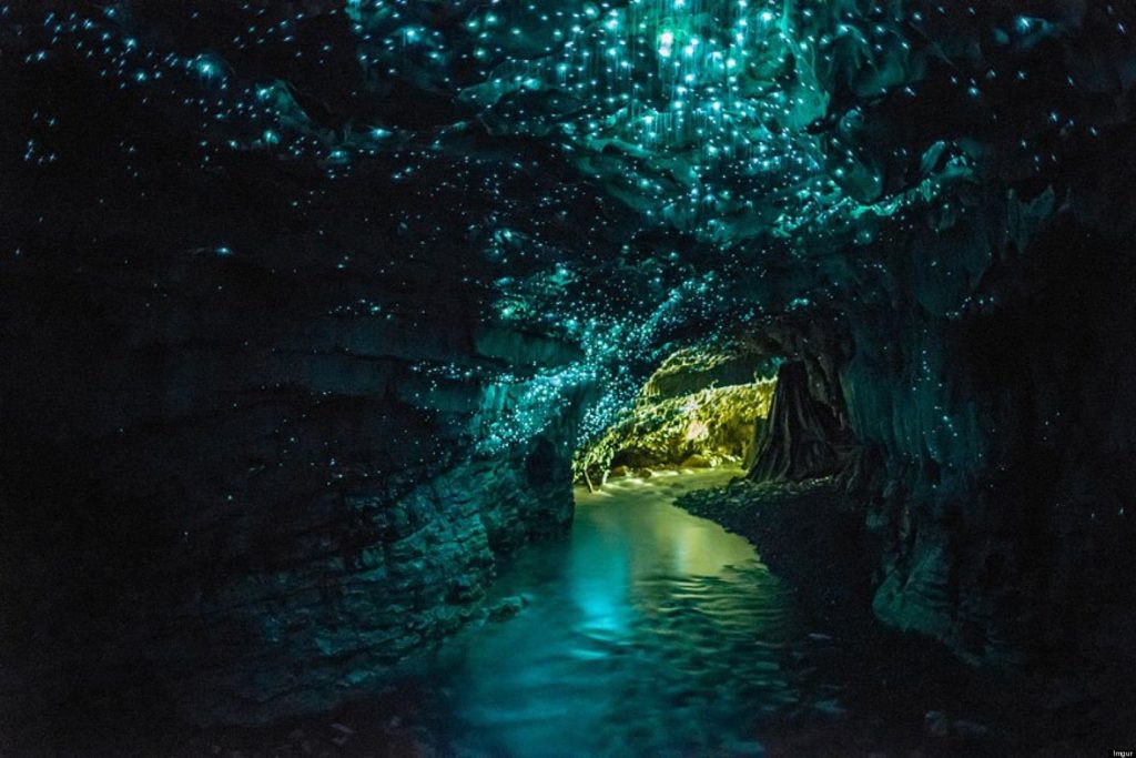 Waitomo-Caves