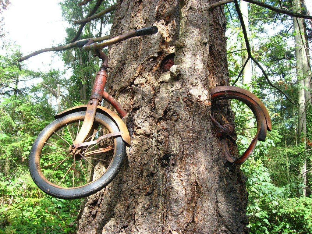 bicycle-tree